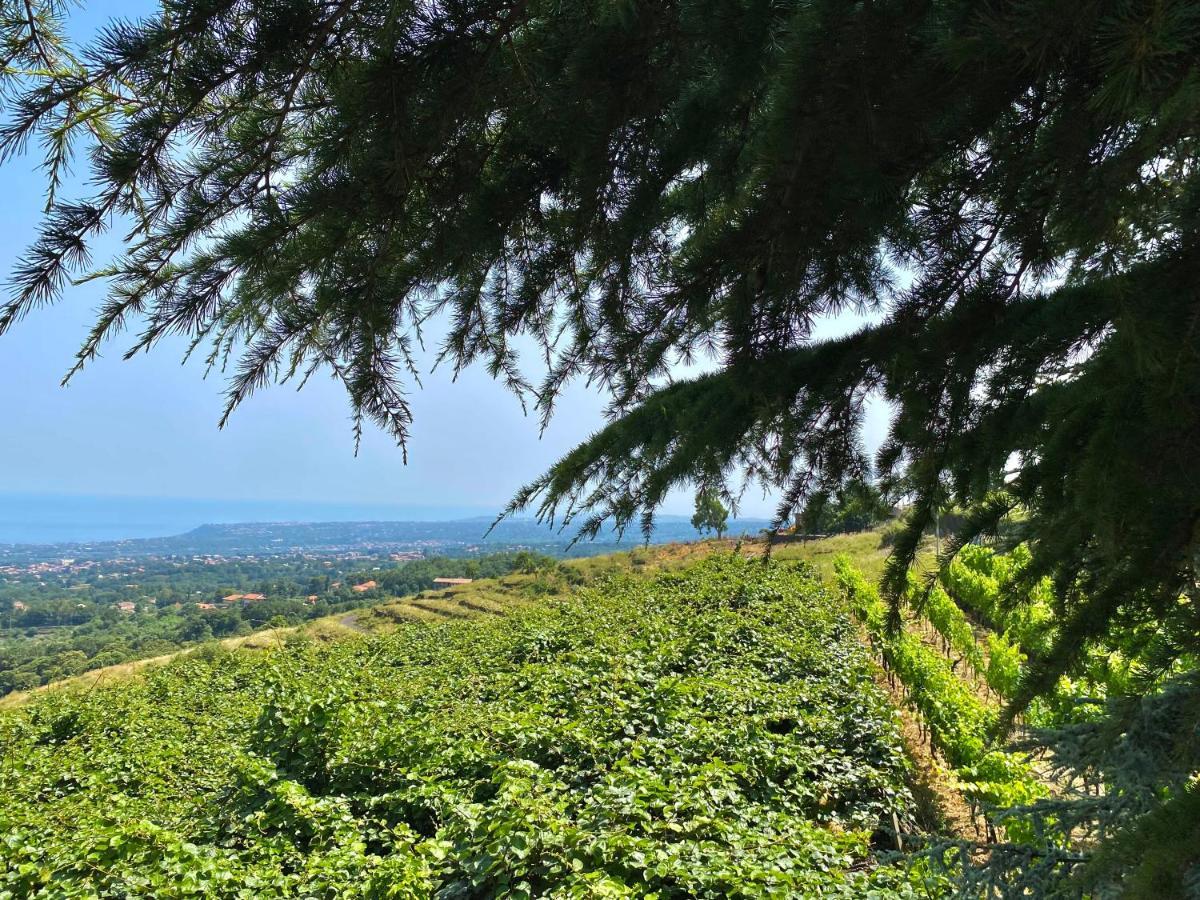 Tenuta Kiwi Dell'Etna มีโล ภายนอก รูปภาพ