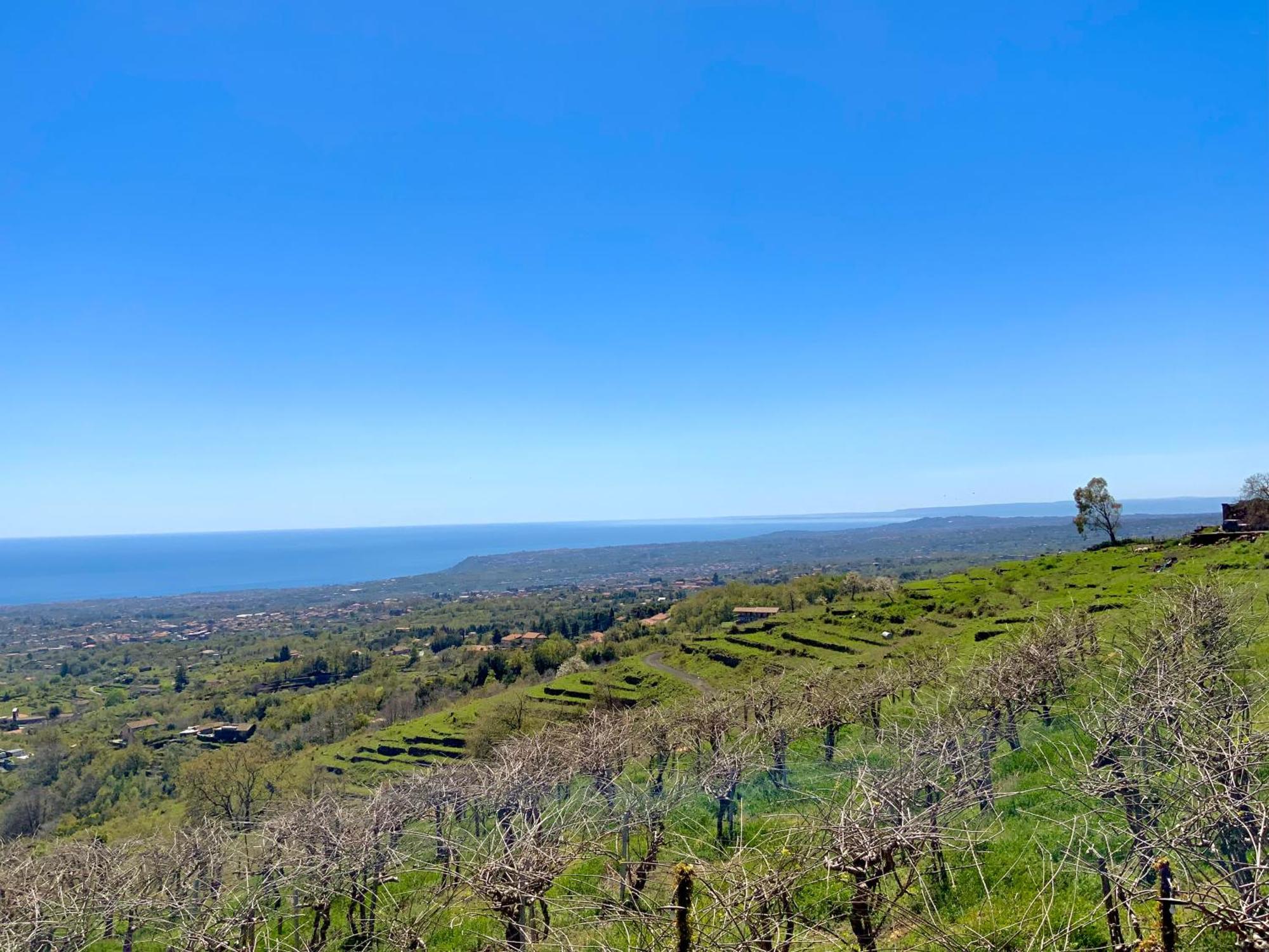 Tenuta Kiwi Dell'Etna มีโล ภายนอก รูปภาพ