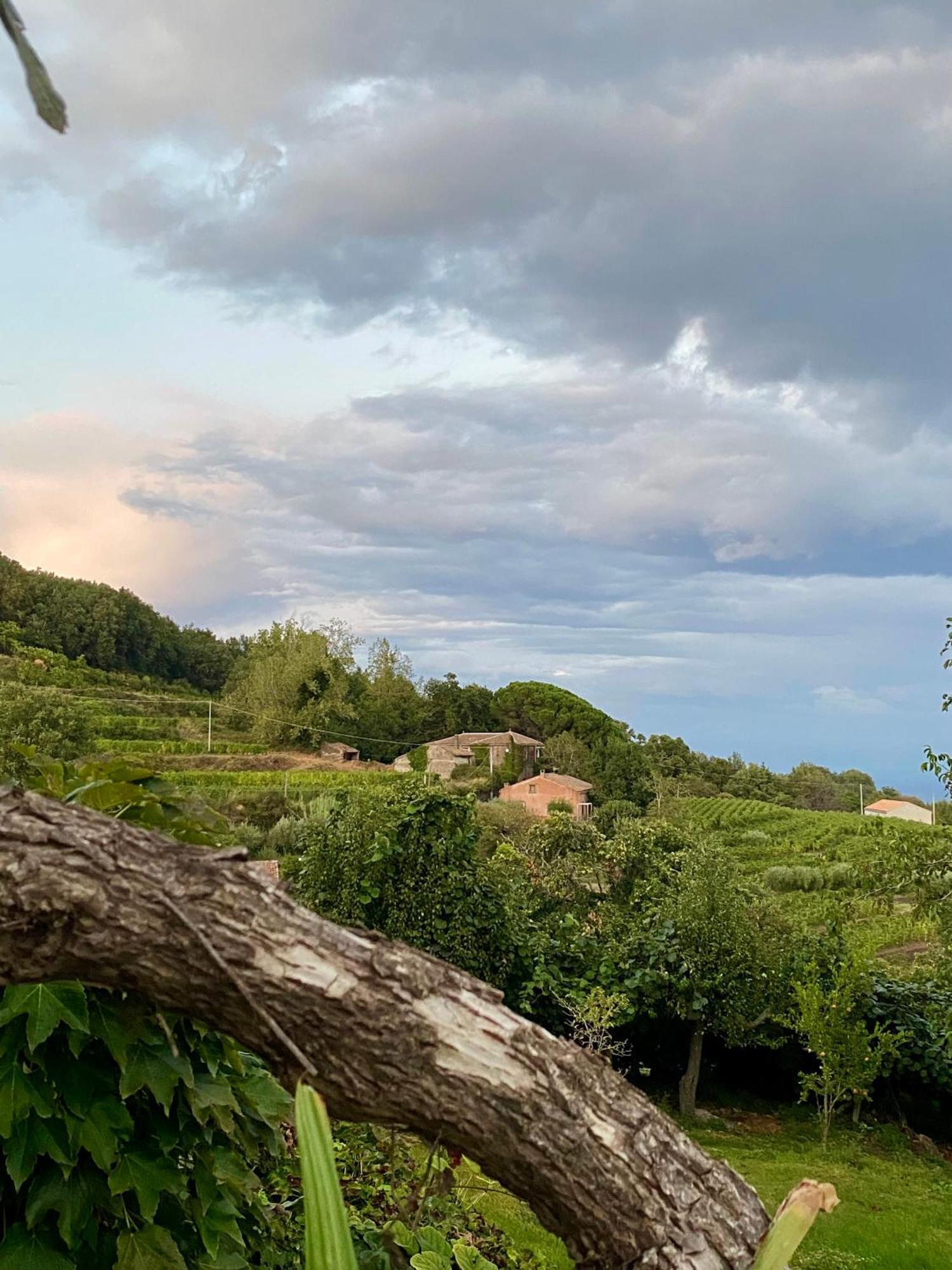 Tenuta Kiwi Dell'Etna มีโล ภายนอก รูปภาพ